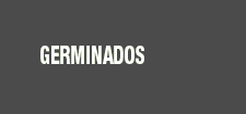 Germinados